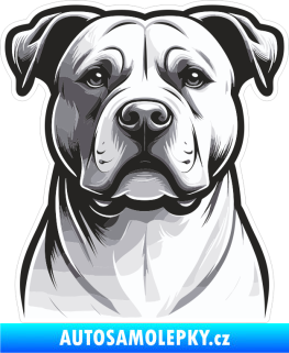 Samolepka Barevný pes 061 pravá Argentinská doga