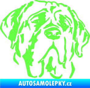 Samolepka Pes 125 pravá anglický mastif Fluorescentní zelená