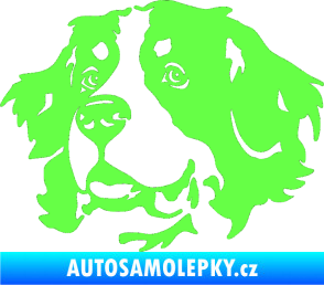 Samolepka Pes 131 levá bernský salašnický pes Fluorescentní zelená