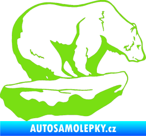 Samolepka Lední medvěd pravá zelená kawasaki