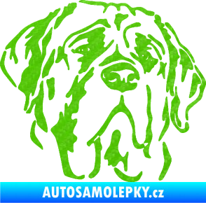 Samolepka Pes 125 pravá anglický mastif 3D karbon zelený kawasaki