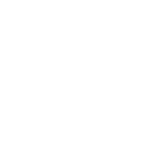 Růže 009 pravá